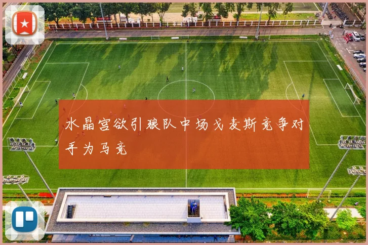 水晶宫欲引狼队中场戈麦斯竞争对手为马竞